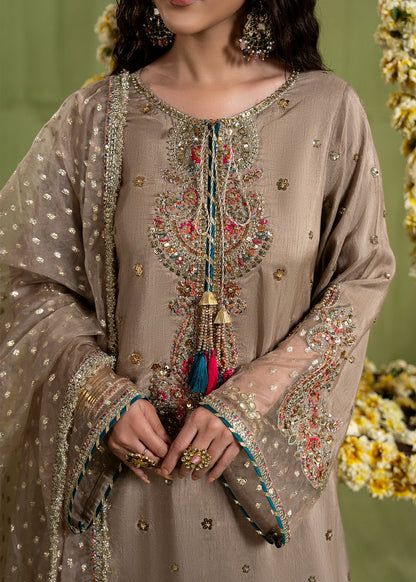 Ladies Embellished Brown Kurta with Organza Dupatta Online in UK USA Canada