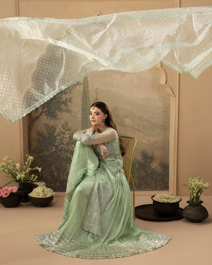 Ladies Embellished Green Organza Wedding Suit Online in UK USA Canada