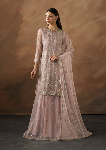 Ladies Embellished Net Shalwar Kameez Online in UK USA Canada