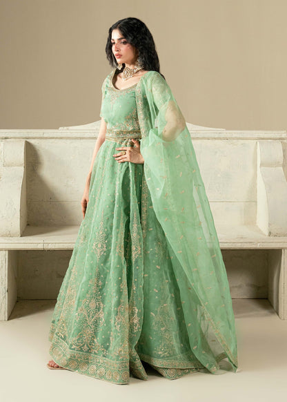Ladies Embellished Organza Lehenga Online in Sri Lanka India Australia
