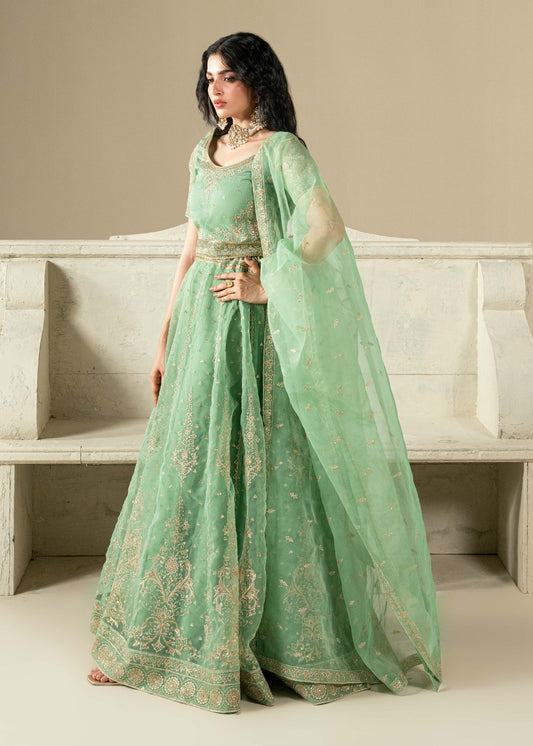 Ladies Embellished Organza Lehenga Online in Sri Lanka India Australia
