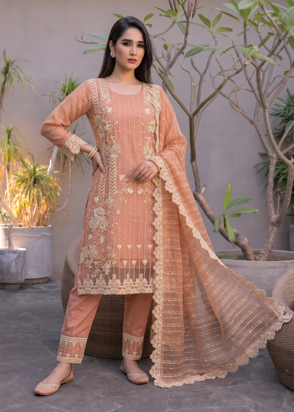 Ladies Embellished Peach Pink Organza Shalwar Kameez Online in UK USA Canada