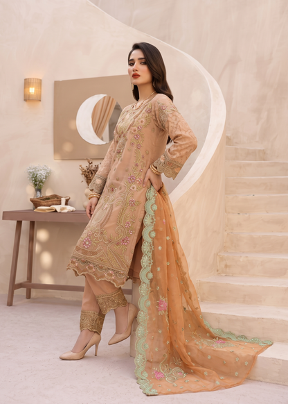 Ladies Embellished Peach Pink Organza Suit Online in UK USA Canada