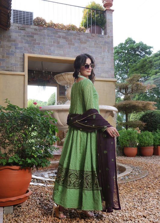 Ladies Embellished Pistachio Green Chiffon Partywear Suit Online in UK USA Canada