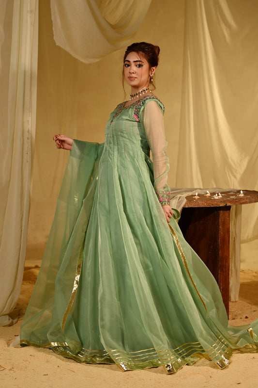 Ladies Embellished Pistachio Green Organza Kurta Set Online in UK USA Canada