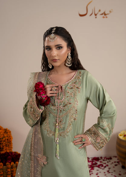 Ladies Embellished Pistachio Raw Silk Salwar Kameez Online in UK USA Canada