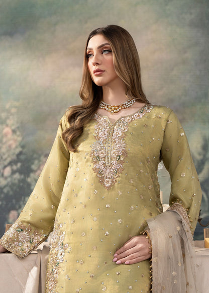 Ladies Embroidered Green Poly Silk Shalwar Kameez Online in UK USA Canada