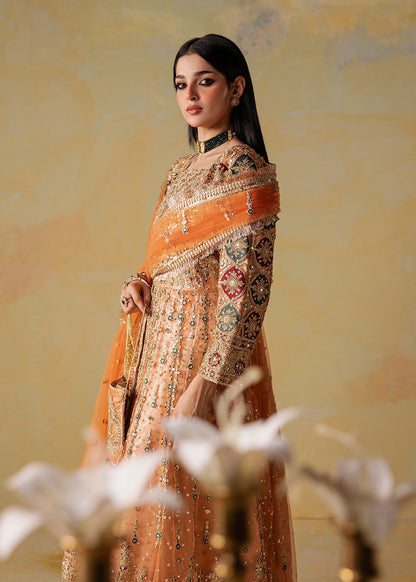 Ladies Embroidered Net Maxi Dress Online in UK USA Canada