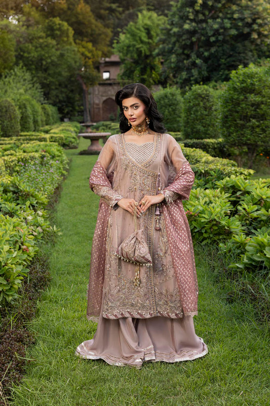 Ladies Embroidered Organza Angrakha Salwar Kameez Online in UK USA Canada