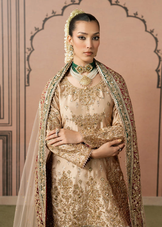 Ladies Embroidered Organza Gharara Suit Online in Sri Lanka India Australia