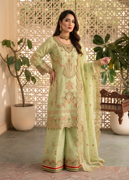 Ladies Embroidered Organza Gharara Suit Online in UK USA Canada