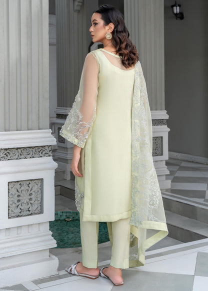 Ladies Embroidered Organza Partywear Suit Online in UK USA Canada