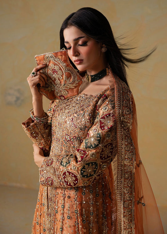 Ladies Embroidered Peach Maxi Gown Online in UK USA Canada