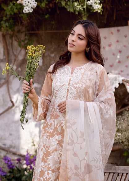 Ladies Embroidered Peach Orange Shalwar Kameez Online in UK USA Canada