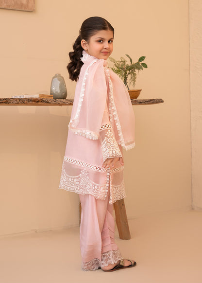 Ladies Embroidered Pink Cotton Silk Shalwar Kameez Online in UK USA Canada