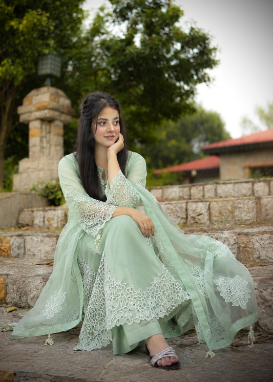 Ladies Embroidered Pistachio Green Shalwar Kameez Online in UK USA Canada