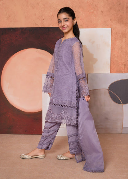 Ladies Embroidered Purple Organza Shalwar Kameez Online in UK USA Canada