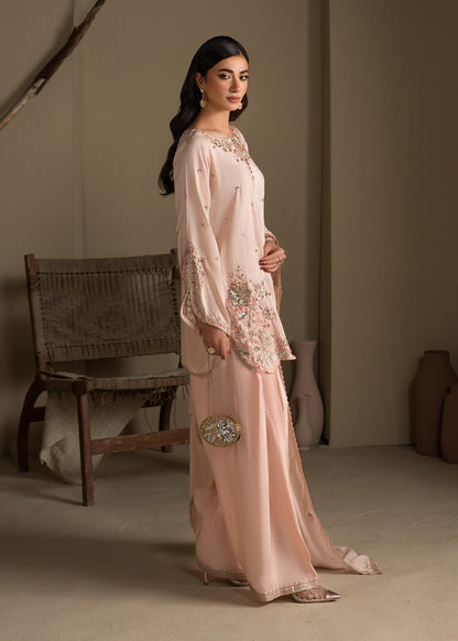 Ladies Embroidered Raw Silk Farshi Shalwar Suit Online in UK USA Canada