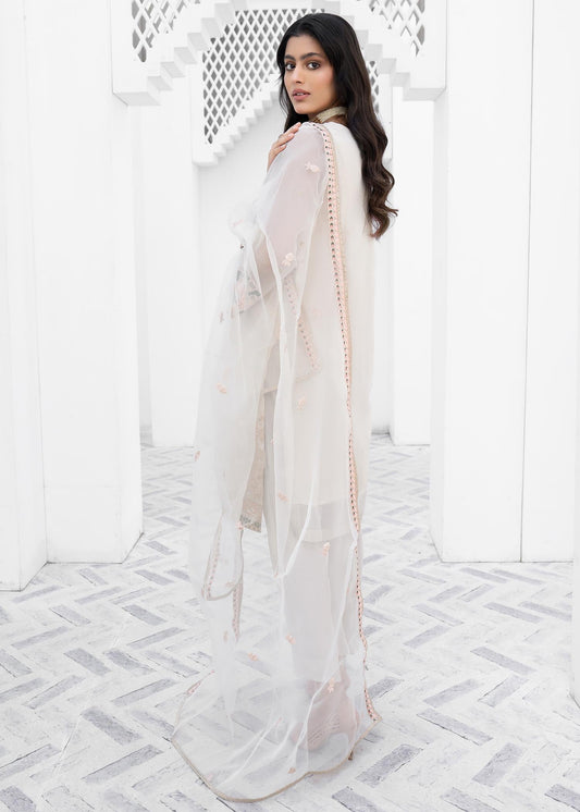 Ladies Embroidered Raw Silk Organza Suit Online in UK USA Canada