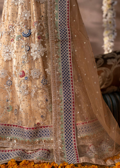 Ladies Festive Net Straight Cut Suit Online in KSA Riyadh Saudi Arabia Oman Bahrain Qatar