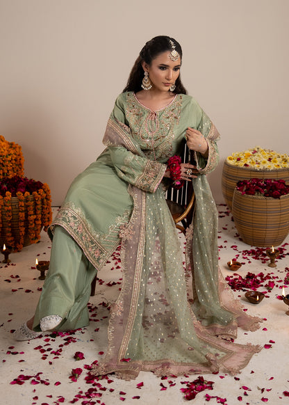 Ladies Festive Wear Raw Silk Farshi Shalwar Online in UK USA Canada