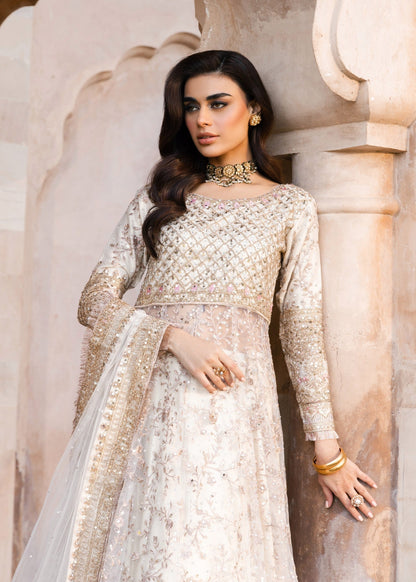 Ladies Flared Net Pishwas Salwar Kameez Online in UK USA Canada