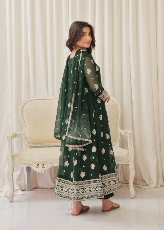 Ladies Green Embroidered Chiffon Partywear Suit Online in UK USA Canada