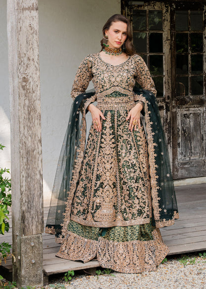 Ladies Green Net Embroidered Wedding Wear Online in Dubai UAE Abudhabi Ajman Sharjah