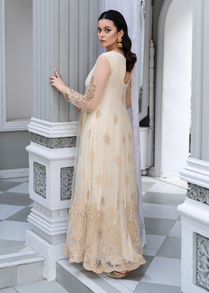 Ladies Hand Embellished Ivory Net Pishwas Online in UK USA Canada