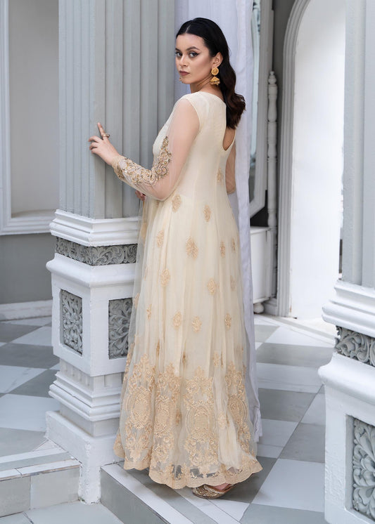 Ladies Hand Embellished Ivory Net Pishwas Online in UK USA Canada