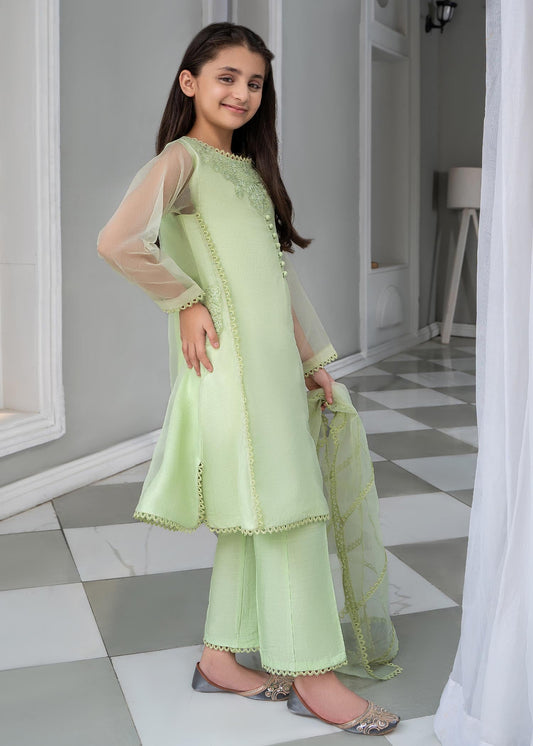 Ladies Mint Green Raw Silk Embellished Salwar Kameez Online in UK USA Canada