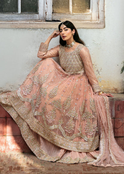 Ladies Net Maxi Wedding Suit Online in UK USA Canada