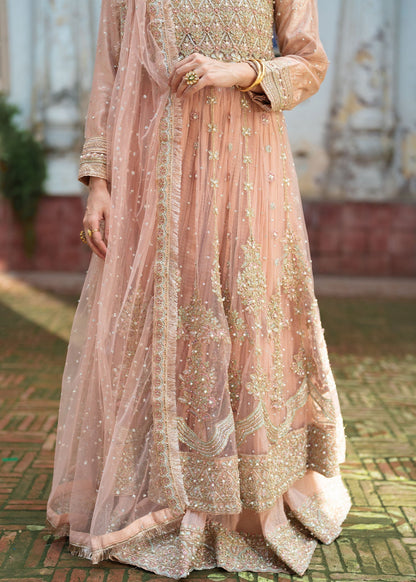 Ladies Net Wedding Guest Wear Suit Online in UK USA Canada