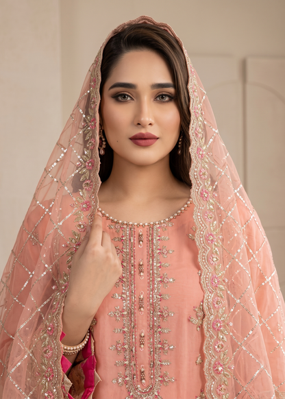 Ladies Organza Embroidered Pink Suit Online in Sri Lanka India Australia