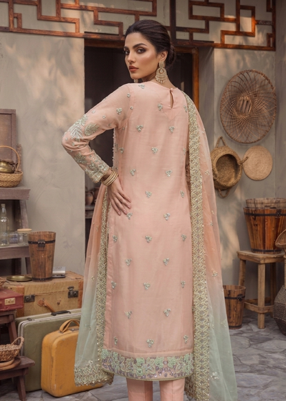 Ladies Peach Embroidered Organza Partywear Suit Online in UK USA Canada