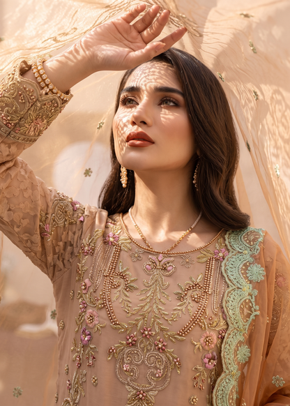 Ladies Peach Pink Embroidered Organza Suit Online in UK USA Canada