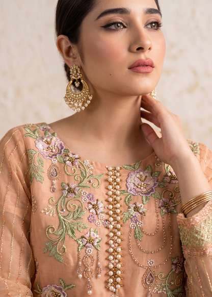Ladies Peach Pink Embroidered Suit Online in Dubai UAE Abudhabi Ajman Sharjah