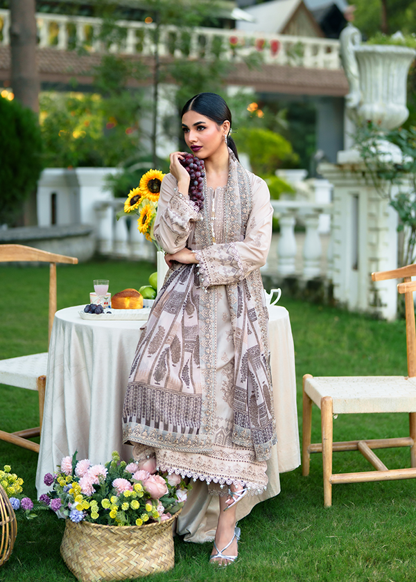 Ladies Taupe Beige Embroidered Shalwar Kameez Online in UK USA Canada