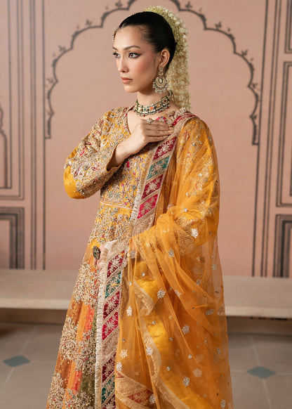Ladies Zardozi Net Pishwas with Sharara Bottom Online in Sri Lanka India Australia