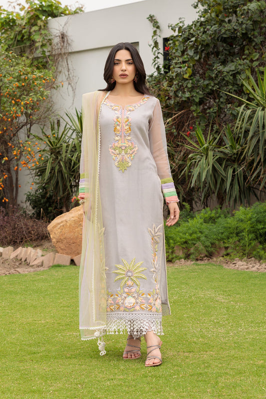 Hand Embroidered Pure Organza Suit