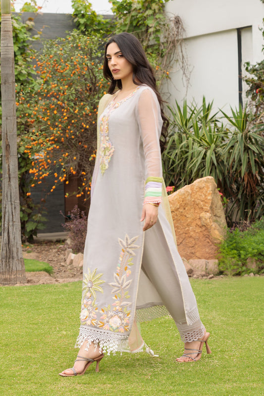 Hand Embroidered Pure Organza Suit