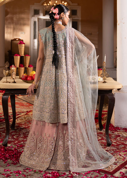 Light Blue Net Sharara Party Wear Online in Sri Lanka India Australia