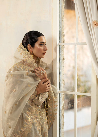 Light Grey Bemberg Crinkle Chiffon 3 Piece Suit Online in Sri Lanka India Australia