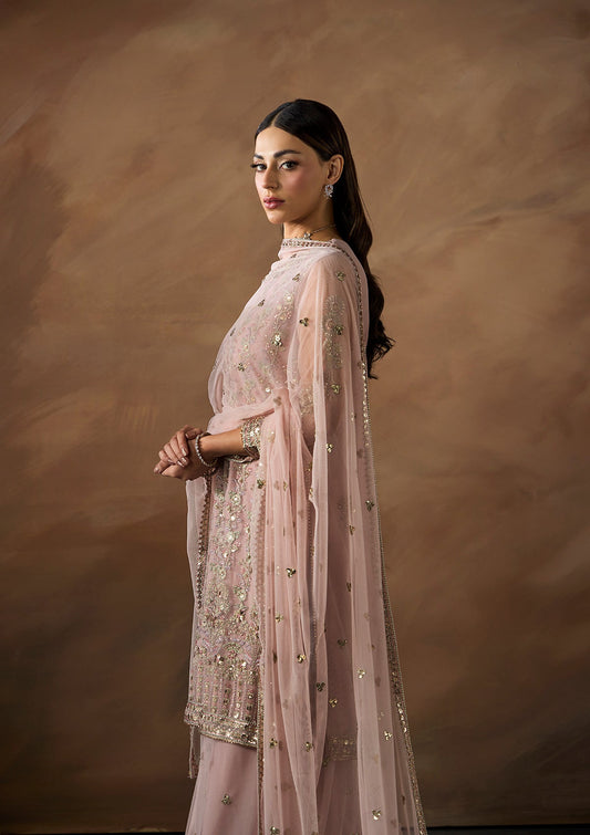 Light Pink Party Wear Net Suit Online in Dubai DXB UAE Abudhabi Meena Bazaar