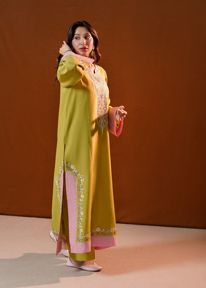 Lime Green Embroidered Slub Khaddar 2 Piece Kurta Set Online in Sri Lanka India Australia
