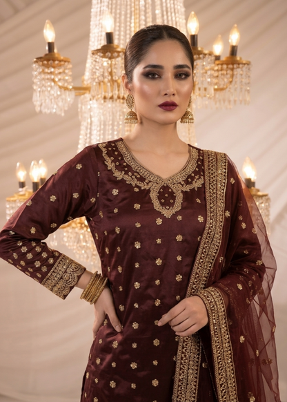 Maroon Embroidered Chiffon Raw Silk Suit Online in Sri Lanka India Australia