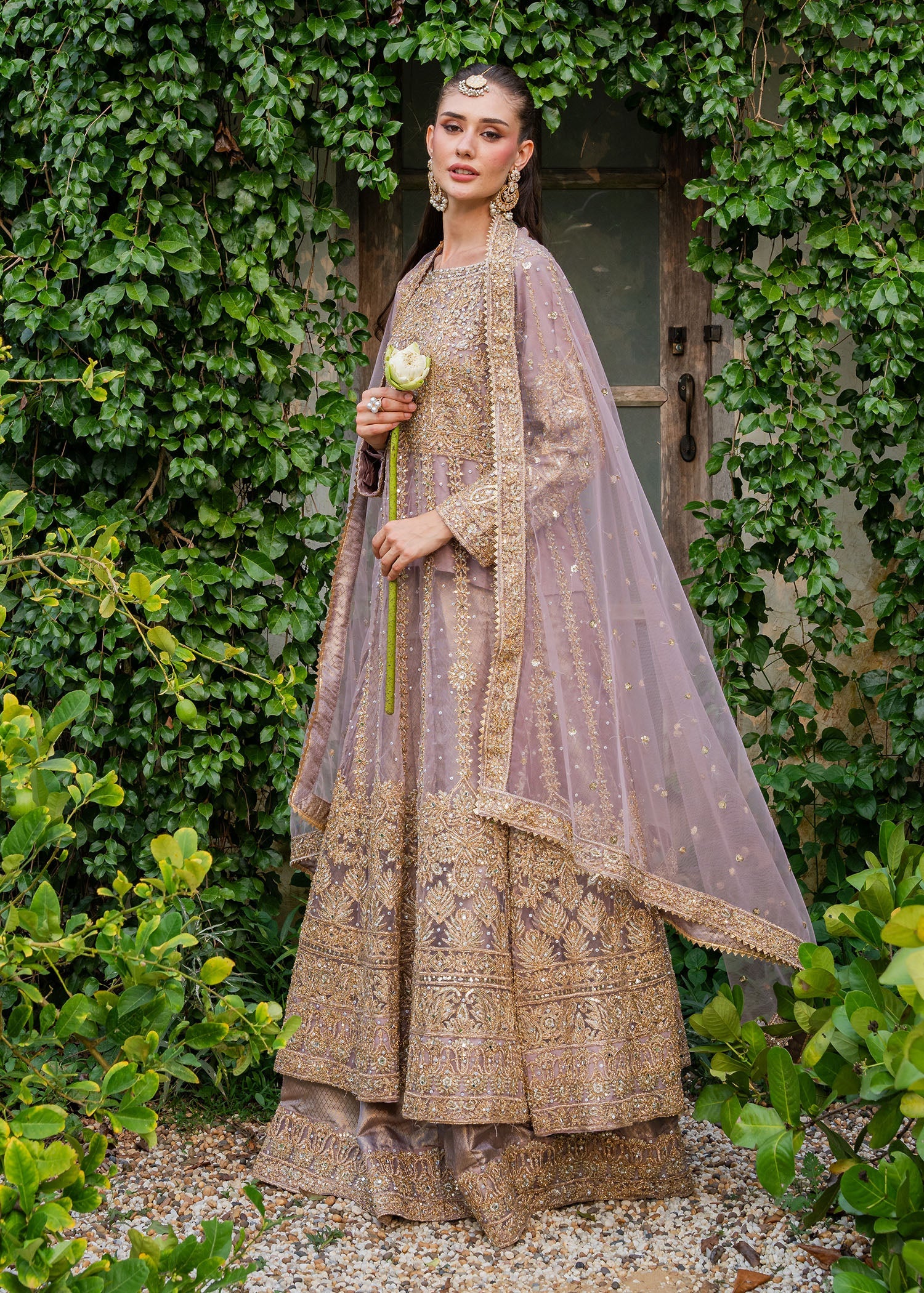 Mauve Chiffon Straight Cut Maxi Suit Online in Dubai UAE Abudhabi Ajman Sharjah