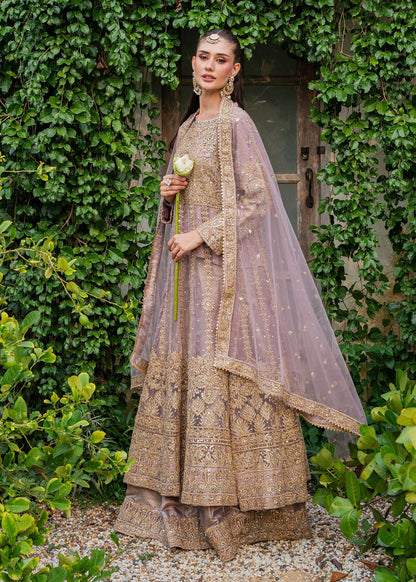 Mauve Chiffon Straight Cut Maxi Suit Online in Dubai UAE Abudhabi Ajman Sharjah