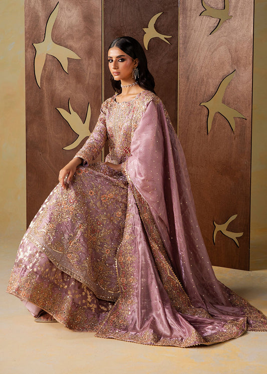 Mauve Embellished Organza Wedding Guest Wear Online in Dubai DXB UAE Abudhabi Meena Bazaar