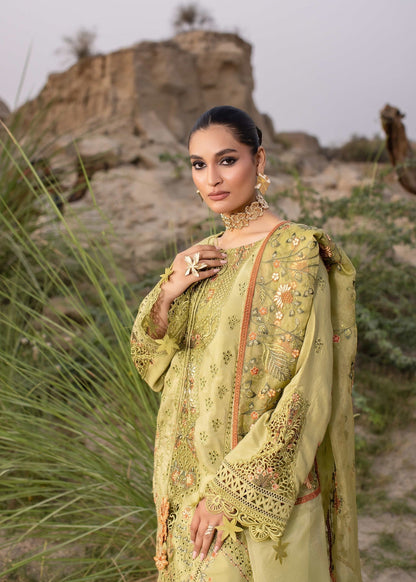 Mellow Yellow Embroidered Raw Silk Festive Wear Online in Dubai DXB UAE Abudhabi Meena Bazaar